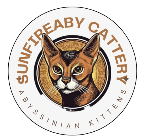 Sunfire Aby Cattery