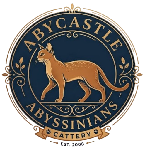 Abycastle Abyssinians 
